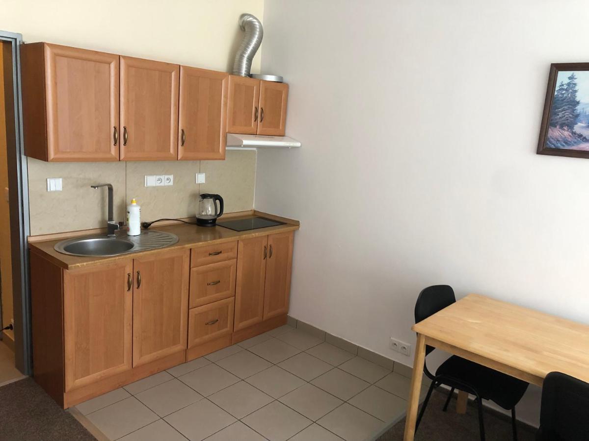 Apartment Certovka Harrachov Ngoại thất bức ảnh